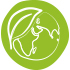 Yarrah - Rein biologisches Futter